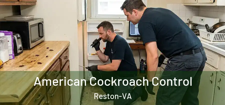  American Cockroach Control Reston-VA