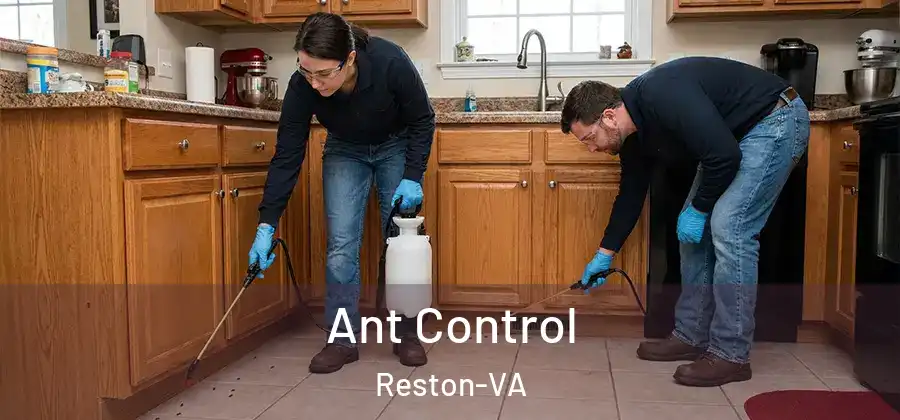 Ant Control Reston-VA