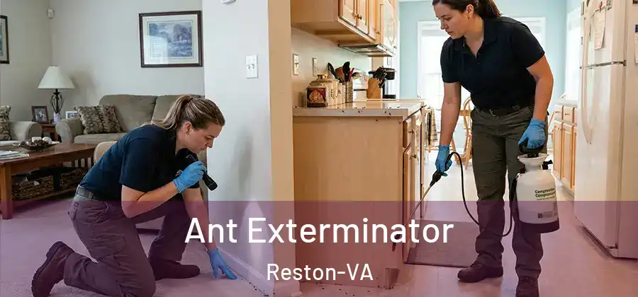 Ant Exterminator Reston-VA
