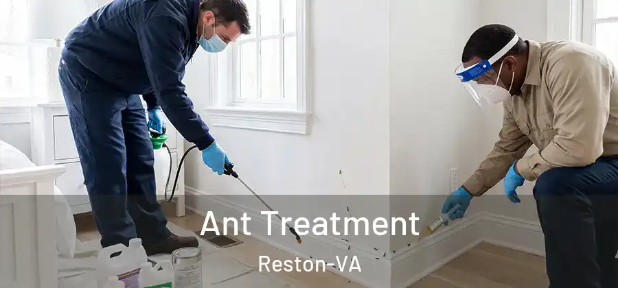 Ant Treatment Reston-VA