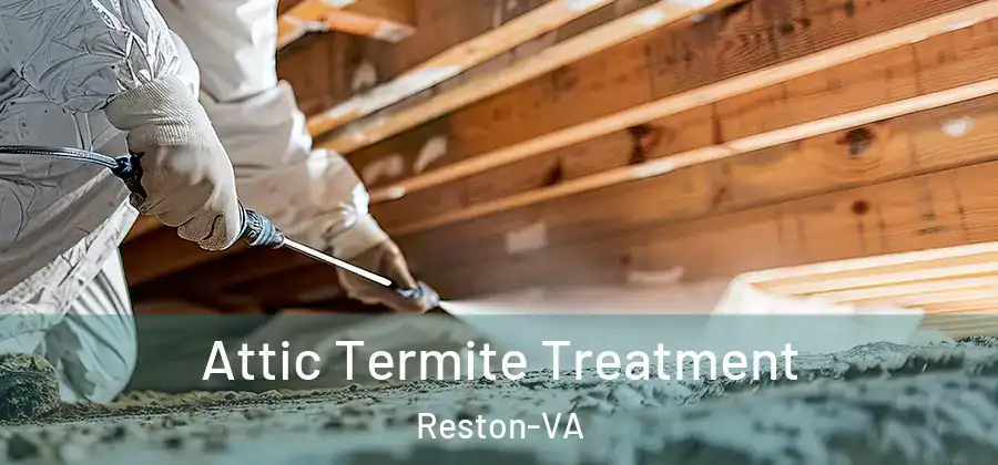 Attic Termite Treatment Reston-VA