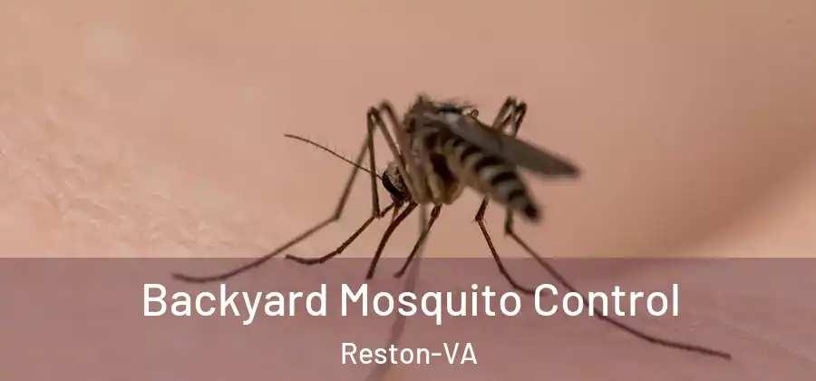 Backyard Mosquito Control Reston-VA