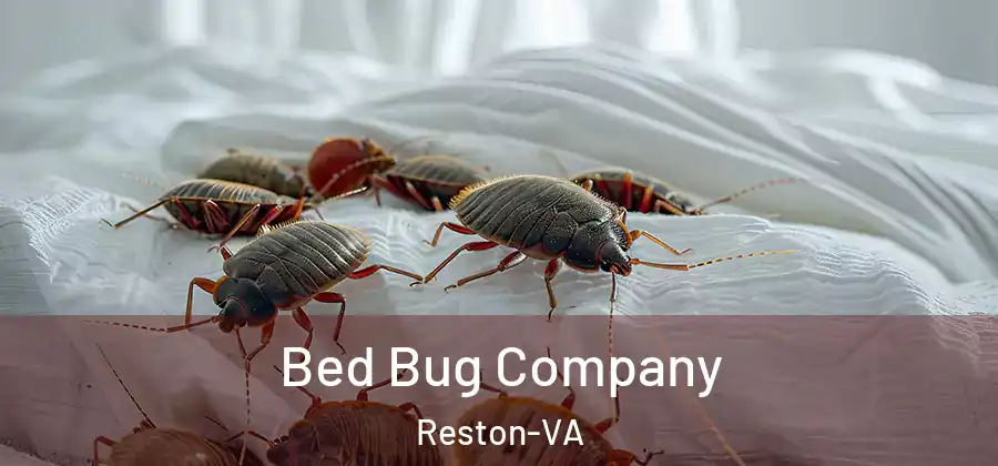  Bed Bug Company Reston-VA