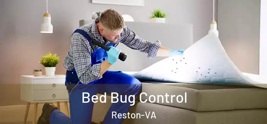 Bed Bug Control Reston-VA