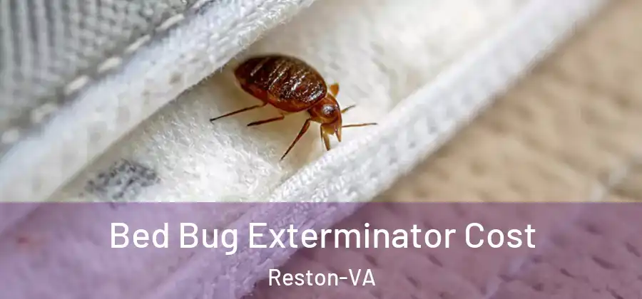 Bed Bug Exterminator Cost Reston-VA