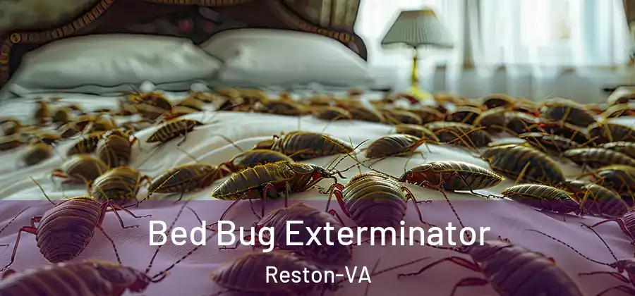 Bed Bug Exterminator Reston-VA