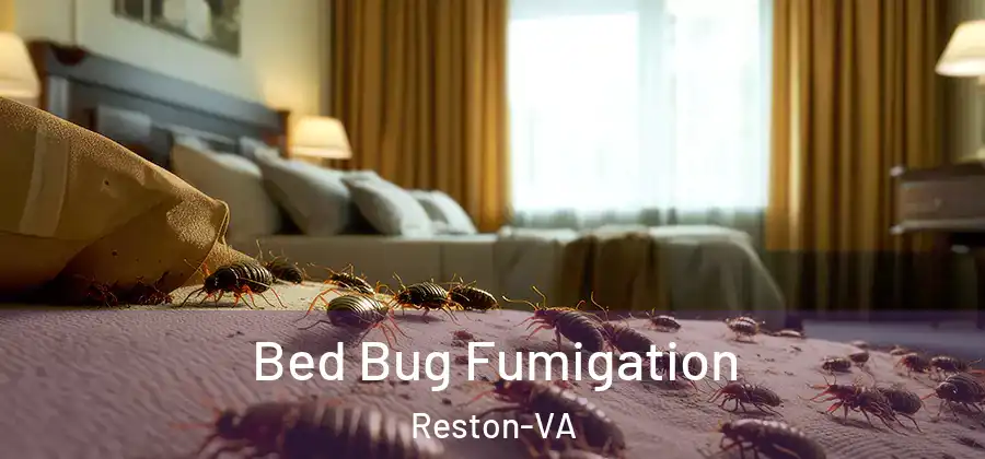Bed Bug Fumigation Reston-VA