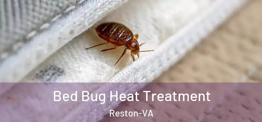 Bed Bug Heat Treatment Reston-VA