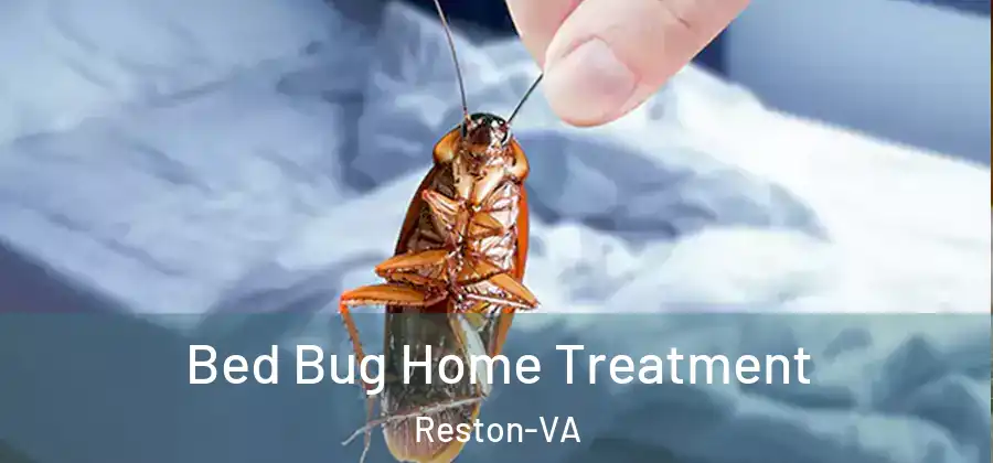 Bed Bug Home Treatment Reston-VA