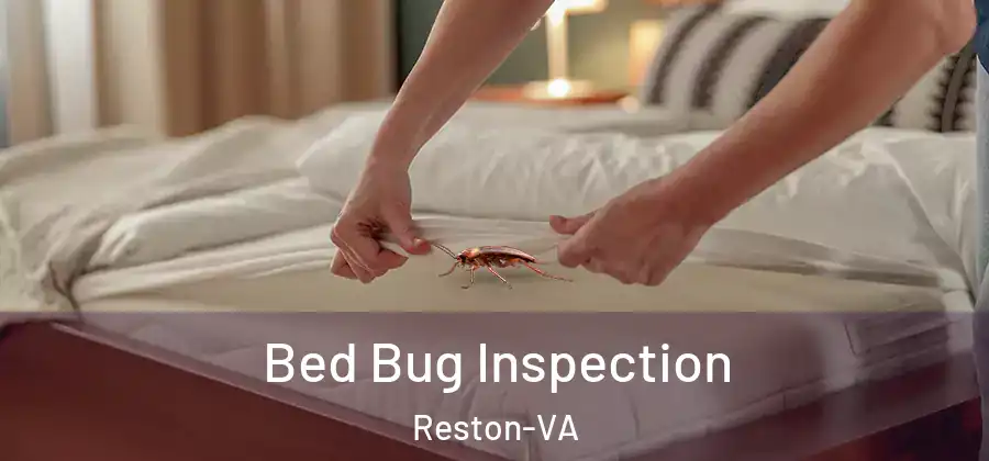 Bed Bug Inspection Reston-VA