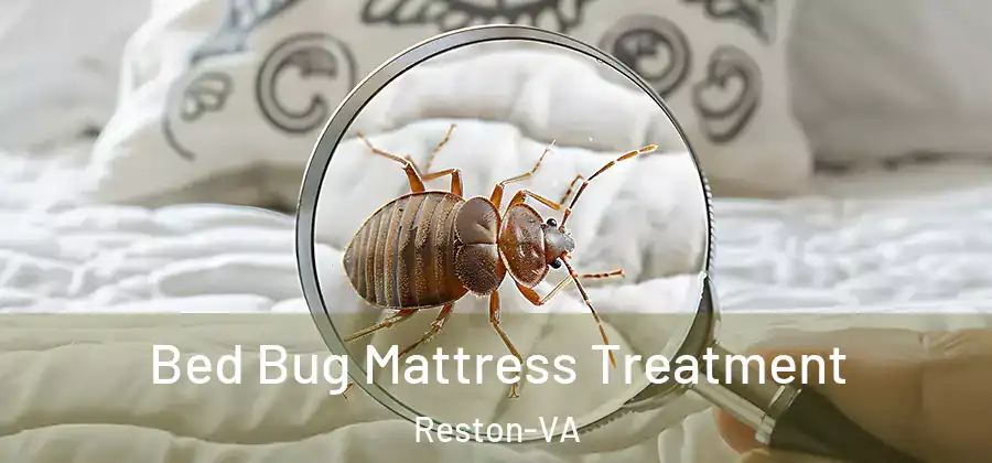 Bed Bug Mattress Treatment Reston-VA