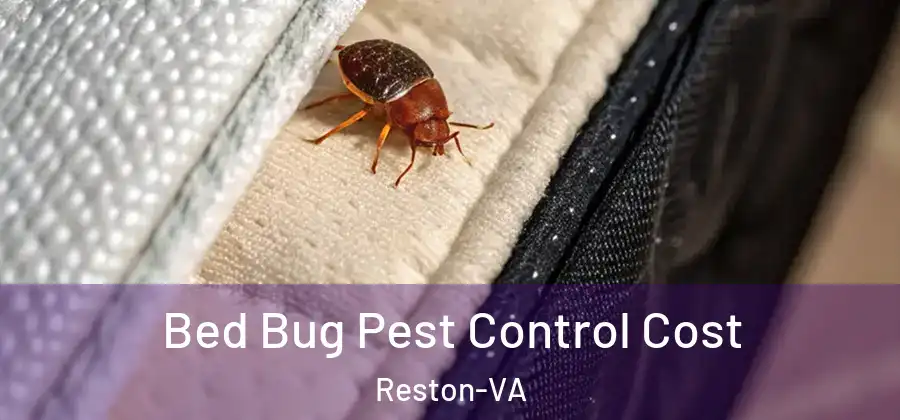 Bed Bug Pest Control Cost Reston-VA