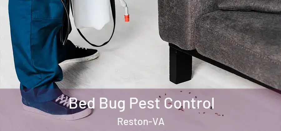 Bed Bug Pest Control Reston-VA