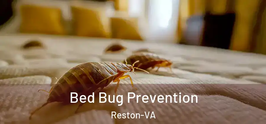 Bed Bug Prevention Reston-VA
