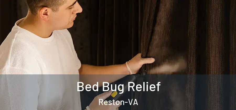 Bed Bug Relief Reston-VA