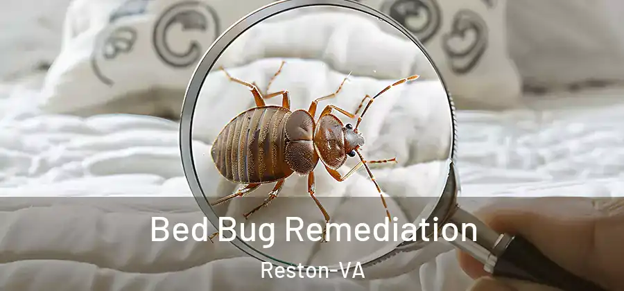  Bed Bug Remediation Reston-VA