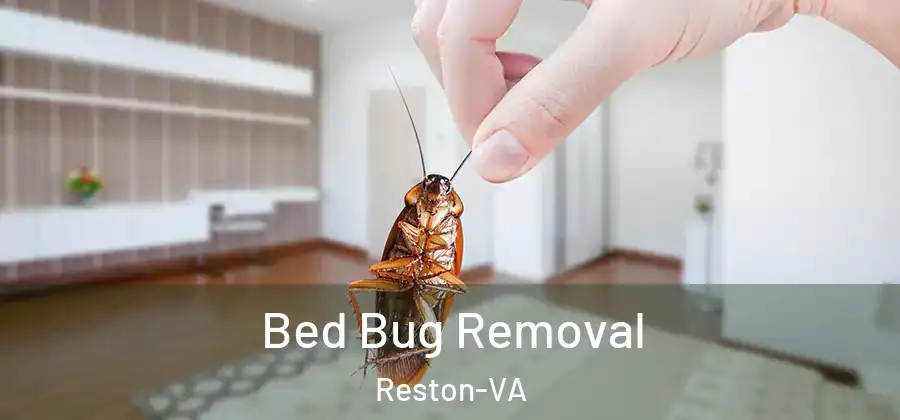 Bed Bug Removal Reston-VA