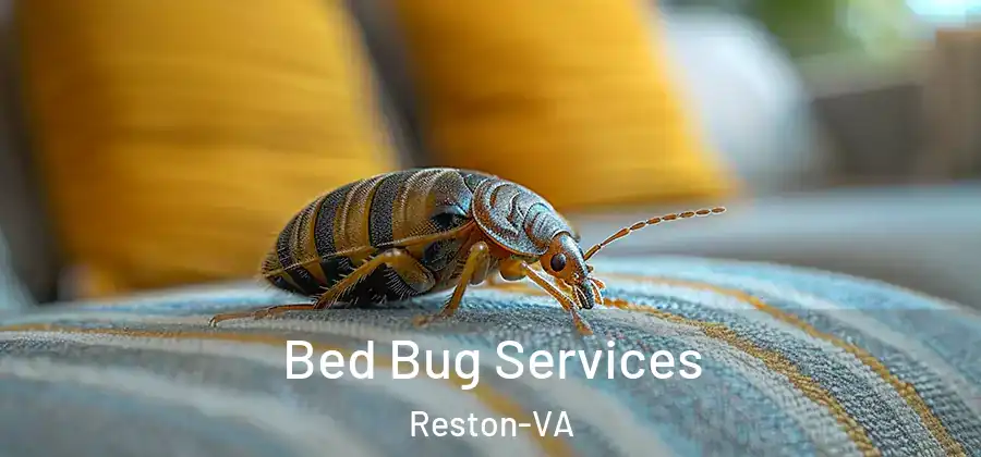 Bed Bug Services Reston-VA