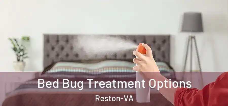 Bed Bug Treatment Options Reston-VA