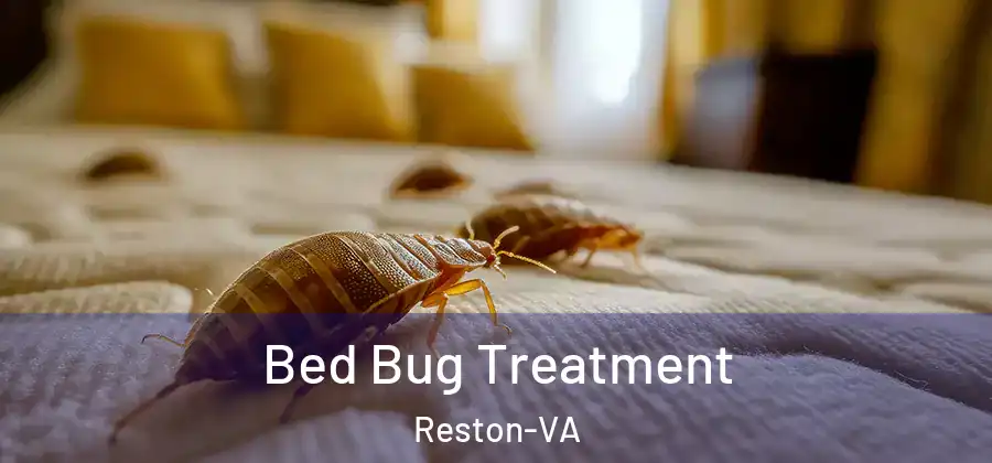 Bed Bug Treatment Reston-VA