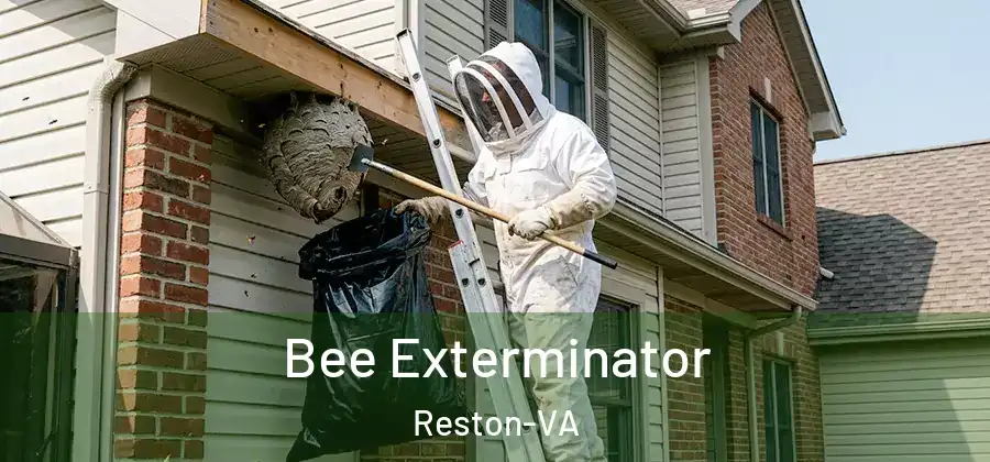 Bee Exterminator Reston-VA