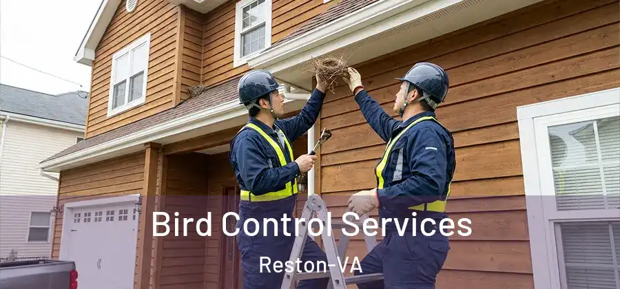 Bird Control Services Reston-VA