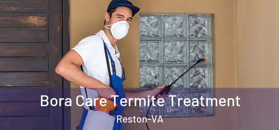Bora Care Termite Treatment Reston-VA
