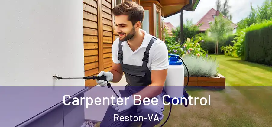 Carpenter Bee Control Reston-VA