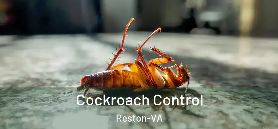 Cockroach Control Reston-VA