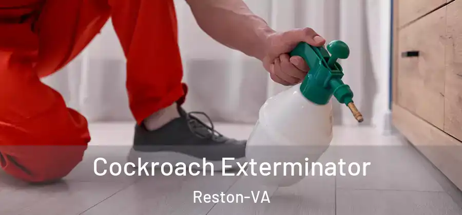Cockroach Exterminator Reston-VA