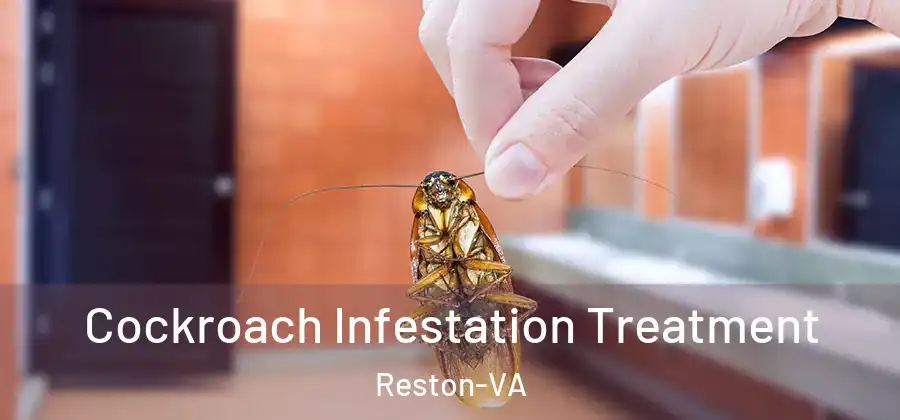 Cockroach Infestation Treatment Reston-VA