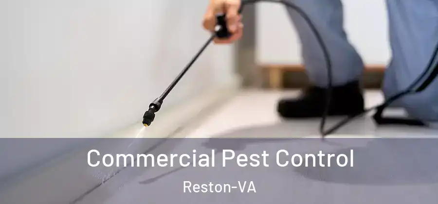 Commercial Pest Control Reston-VA