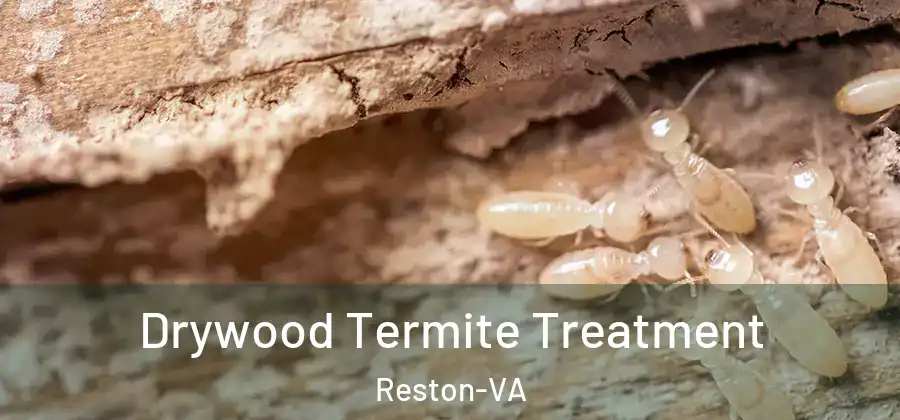 Drywood Termite Treatment Reston-VA
