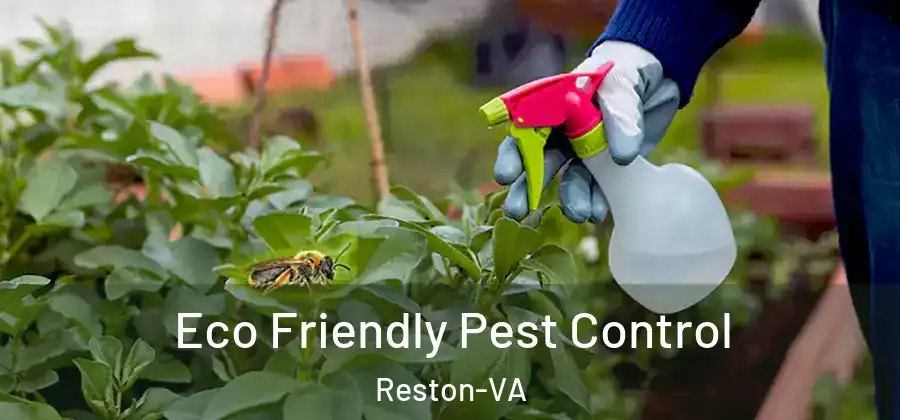 Eco Friendly Pest Control Reston-VA