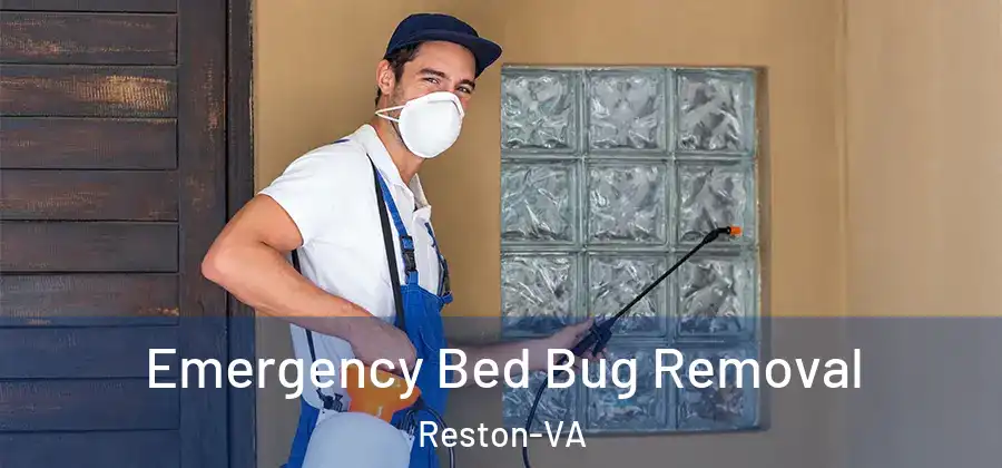  Emergency Bed Bug Removal Reston-VA