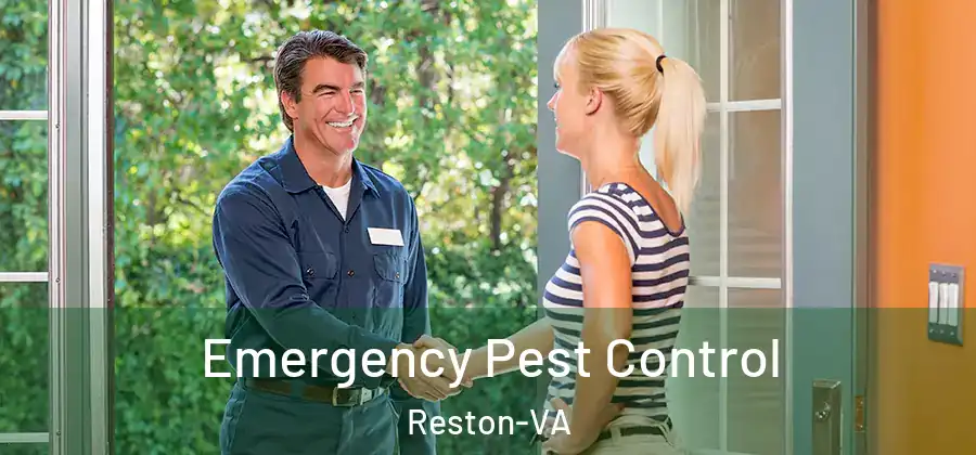 Emergency Pest Control Reston-VA
