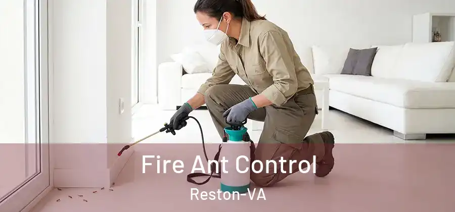 Fire Ant Control Reston-VA