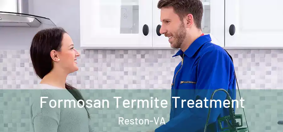  Formosan Termite Treatment Reston-VA