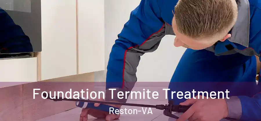 Foundation Termite Treatment Reston-VA