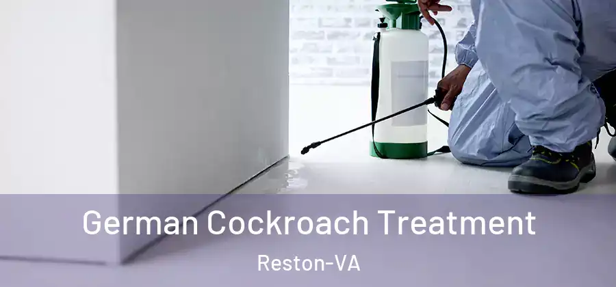  German Cockroach Treatment Reston-VA