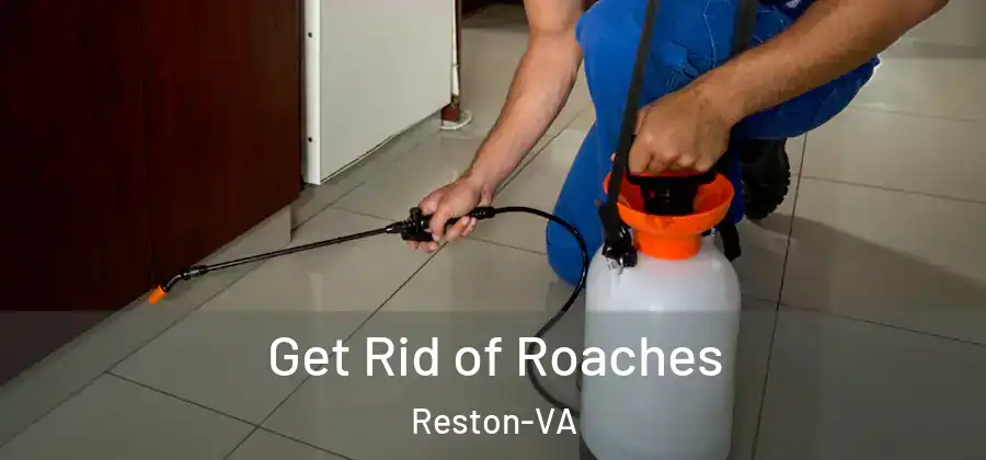 Get Rid of Roaches Reston-VA