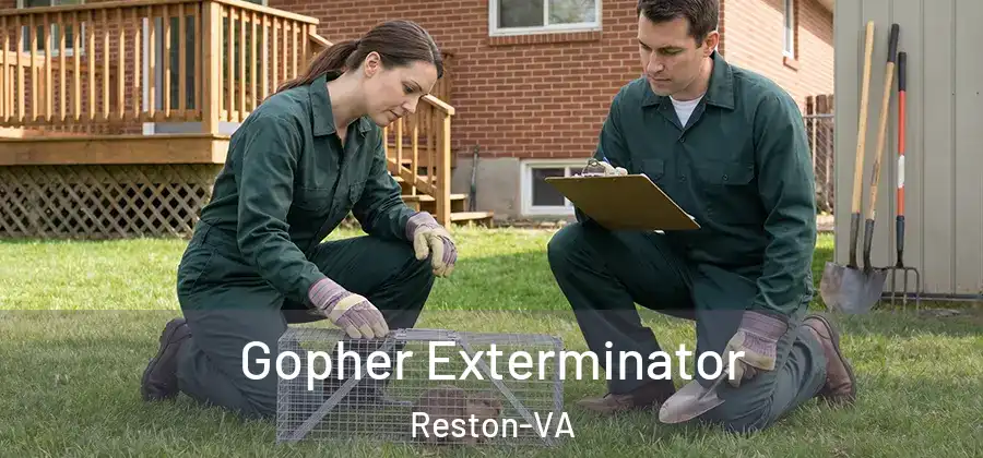 Gopher Exterminator Reston-VA
