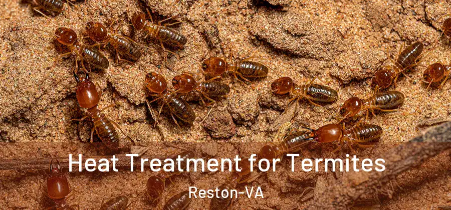 Heat Treatment for Termites Reston-VA