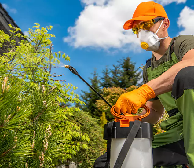 Your Mosquito Repellent Barrier Service in Reston, VA