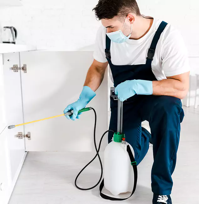 Why Reston, VA Homeowners Trust Us for German Roach Control?