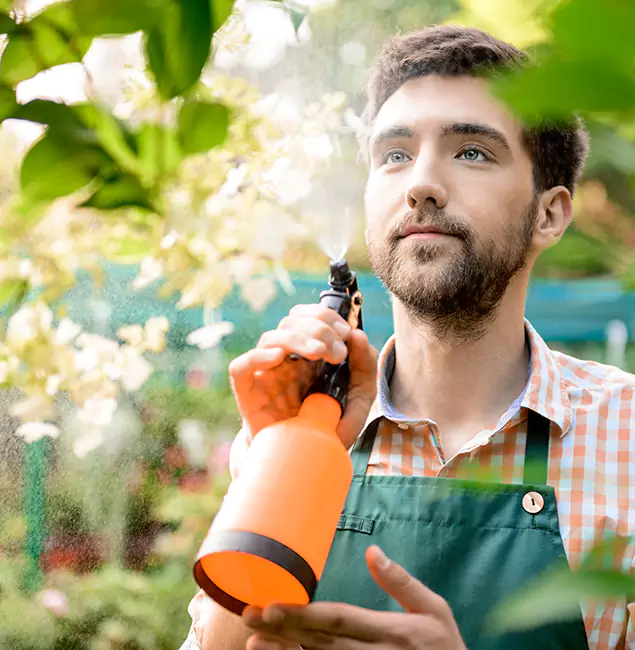 Why Reston Pest Control Pro Is the Best Mosquito Control Company in Reston, VA?