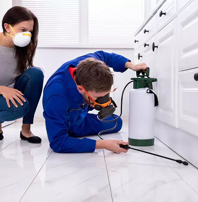 Why Choose Reston Pest Control Pro in Reston, VA?