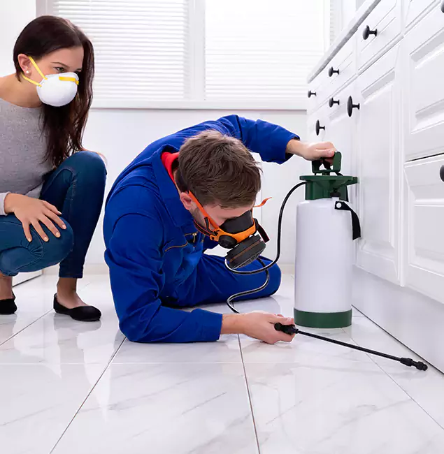 Why Choose Wood Termite Treatment by Reston Pest Control Pro in Reston, VA?