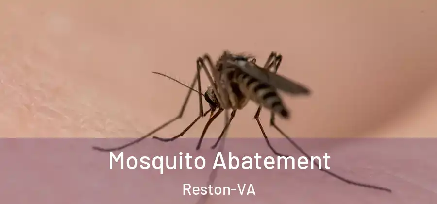 Mosquito Abatement Reston-VA