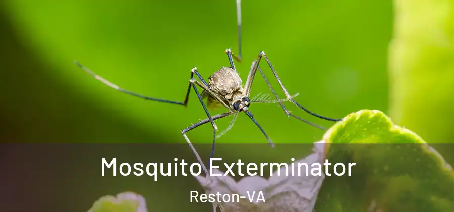 Mosquito Exterminator Reston-VA